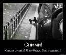 Ильич Leech фотография #13 (источник - https://vk.com/id24254693)