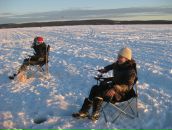 Alena T. фотография #46 (источник - https://vk.com/id2396613)