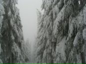 Дімон Лободзець фотография #38 (источник - https://vk.com/id121491401)