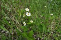 Андрій Ключник фотография #31 (источник - https://vk.com/id3632440)