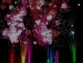 Фотография Мирошниченко Наташи