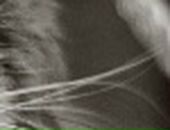 Саша Іскрицька фотография #16 (источник - https://vk.com/id73247965)