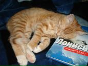 Фотография Карпаниной Валентины