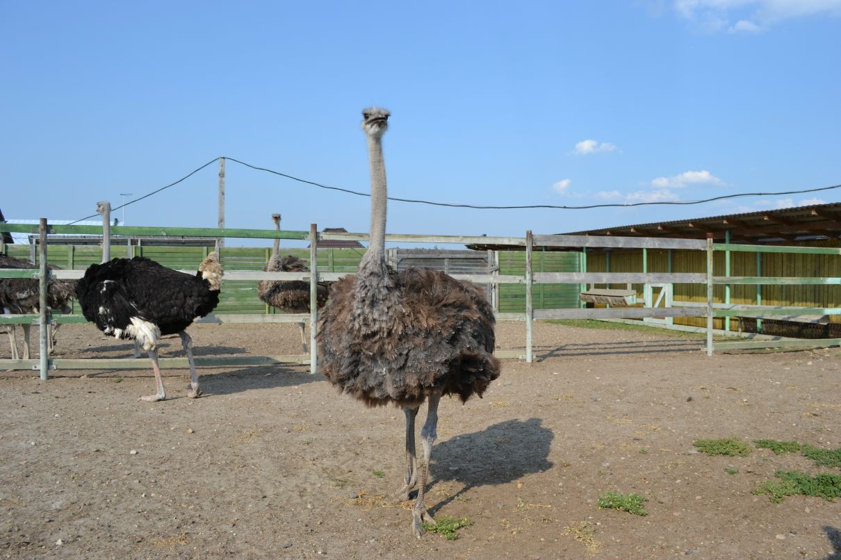 Константин Басалаев фотография #20