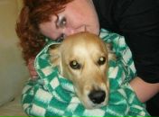 Фотография Симоновой Евгении