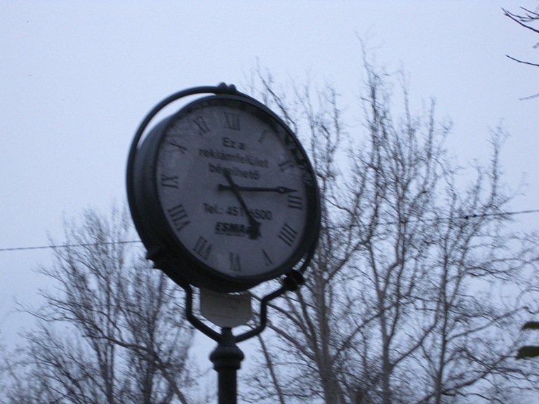 Elena Park фотография #39