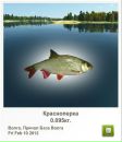 Дмитро Редколіс фотография #2 (источник - https://vk.com/id159168854)
