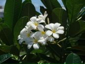 Фотография Пихтиенко Дмитрий