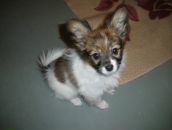 Фотография Беловой Людмилы