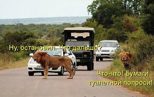 Иван Тимофеев фотография #10