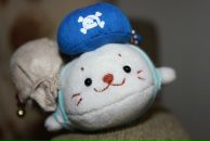 Фотография Соболевской Татьяны