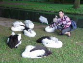 Фотография Новиковой Анечки