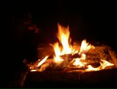 Фотография Богатыревой Наталии