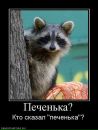 Фотография Гончаровой Ксении