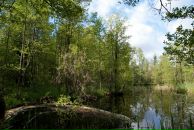 Павел Волк фотография #29 (источник - https://vk.com/id470503)