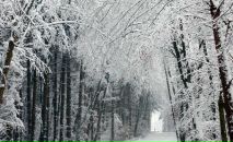 Фотография Мустафиной Эльнары