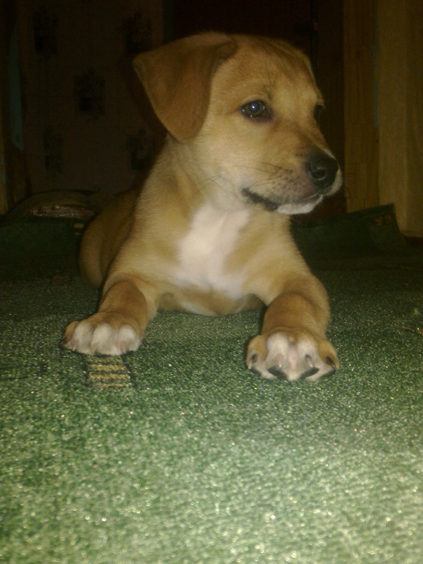 Александр Прокопенко фотография #44