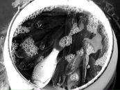 Сергій Дворник фотография #24 (источник - https://vk.com/id7279676)