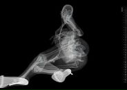 Ваня Погрібняк фотография #28 (источник - https://vk.com/id62143530)