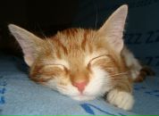 Фотография Вассель Натальи