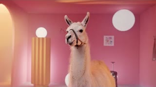 RASA (Раса) - По приколу (Премьера клипа 2021)