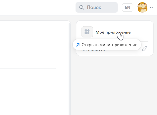 Press the mini app name to launch